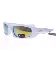 Oakley Glasses-0456