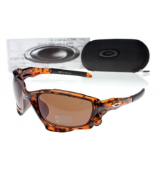 Oakley Glasses-0674